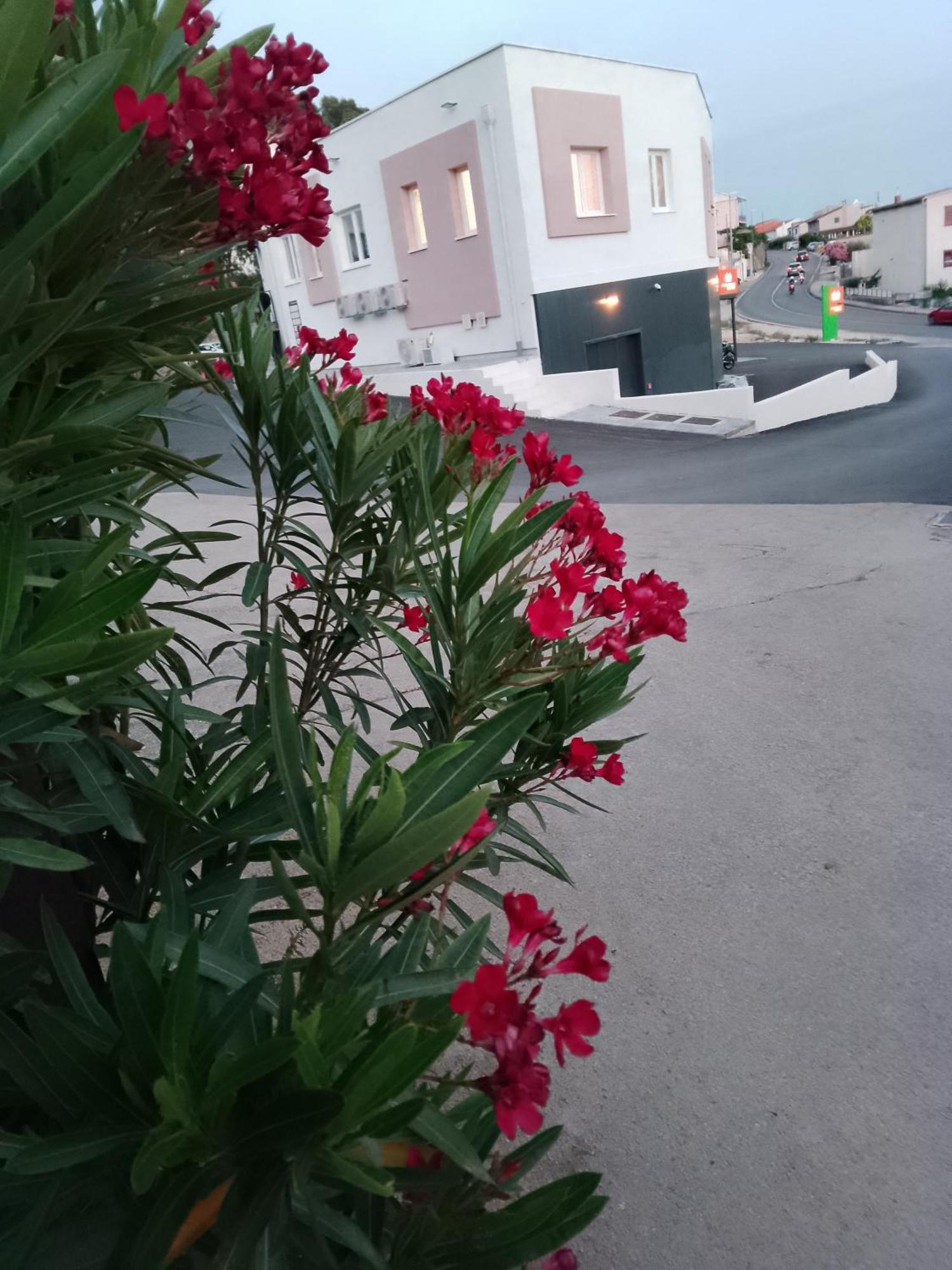 Marin Apartment Sibenik Luaran gambar